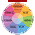 The Drugs Wheel: a new model for substance awareness